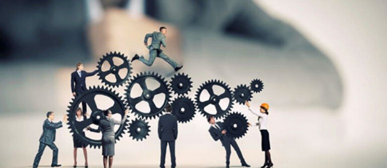 ייעוץ ציי רכב