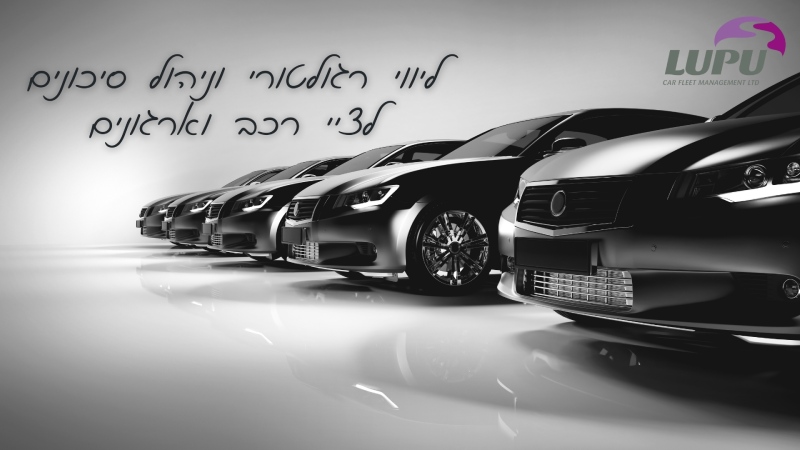 ליווי רגולטורי וניהול סיכונים לציי רכב וארגונים